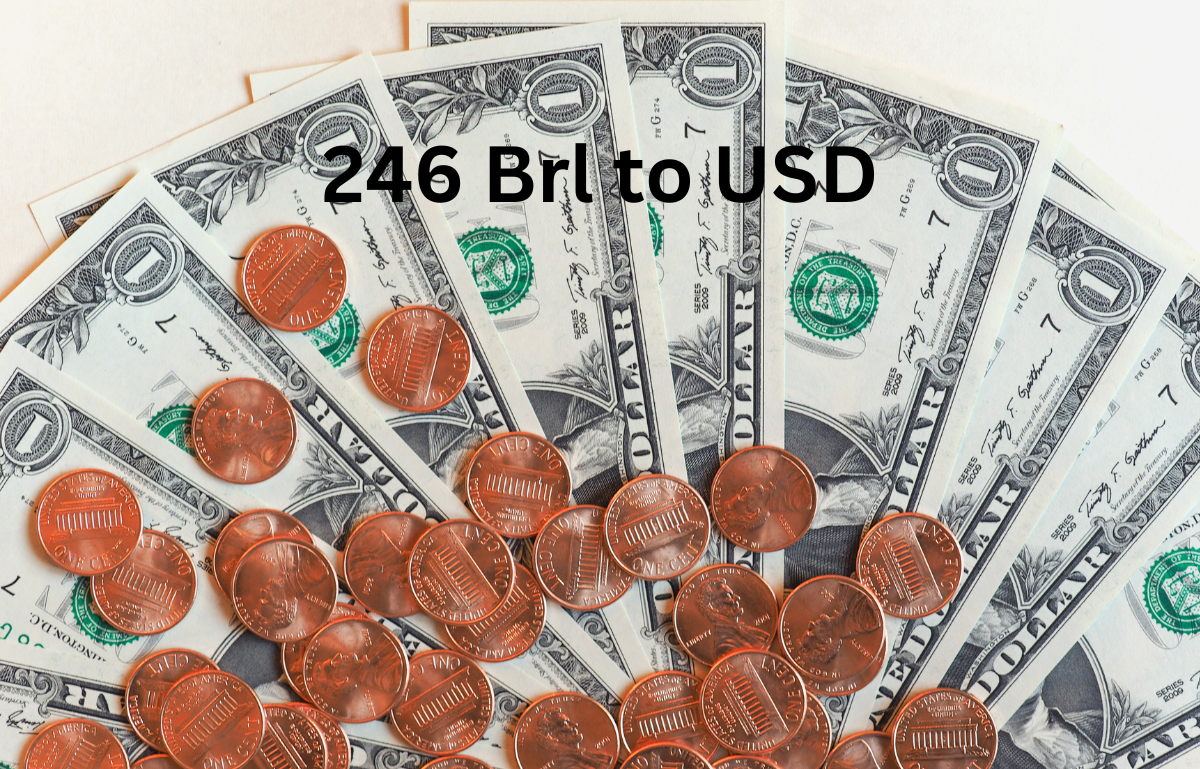 246 Brl to USD conversion